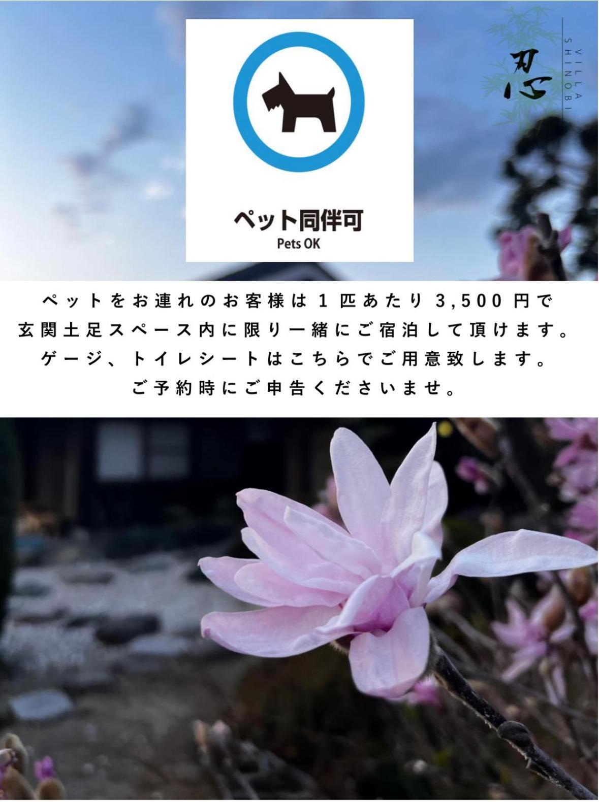 Shinobi -忍- Villa *